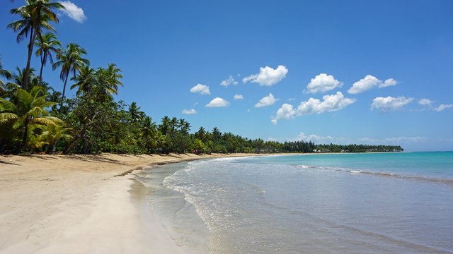 Plage Las Terrenas